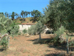 Your Holiday Villa in Calabria - This is the Giuseppe Property