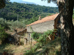 Your Villa in italy may be overlooking a valley of wonderful vegetation like the Giuseppe property
